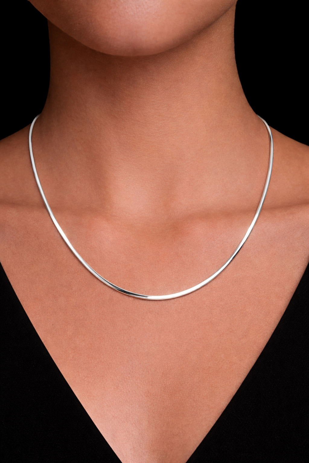 Gargantilla plata #1293