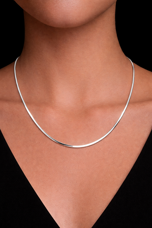 Gargantilla plata #1293